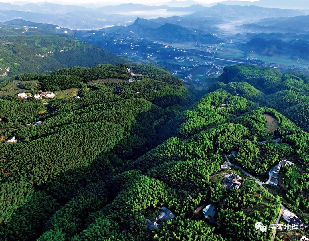 地质专家：宜宾葡萄井正在恢复，地震带不走千年美味