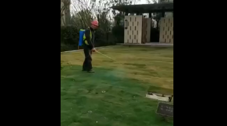 杭州一小区被曝为草地喷洒染色剂：让业主满意收房