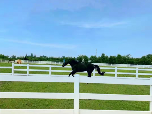 地铁10号线二期就要开通啦 沿线美景安排起来！