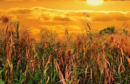 地铁10号线二期就要开通啦 沿线美景安排起来！