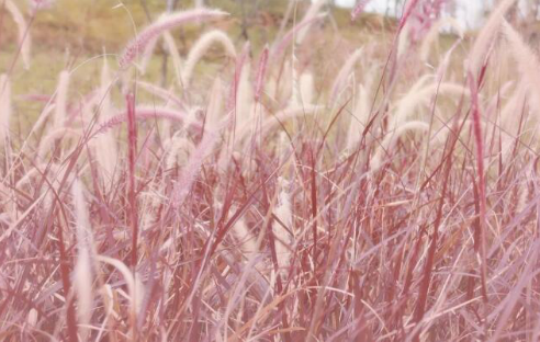 地铁10号线二期就要开通啦 沿线美景安排起来！