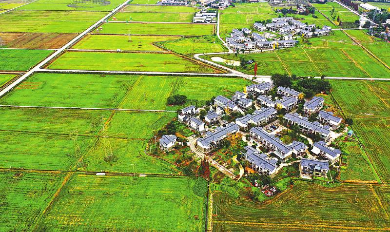 初冬的色彩，巴蜀大地绘就一幅幅风景画卷